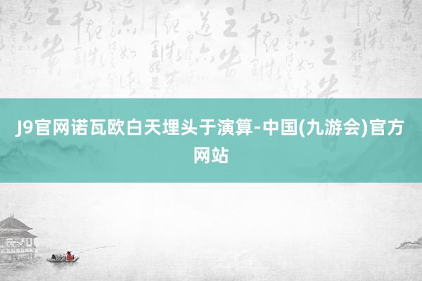J9官网诺瓦欧白天埋头于演算-中国(九游会)官方网站